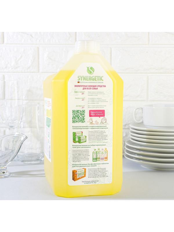 Средство для мытья посуды Synergetic 