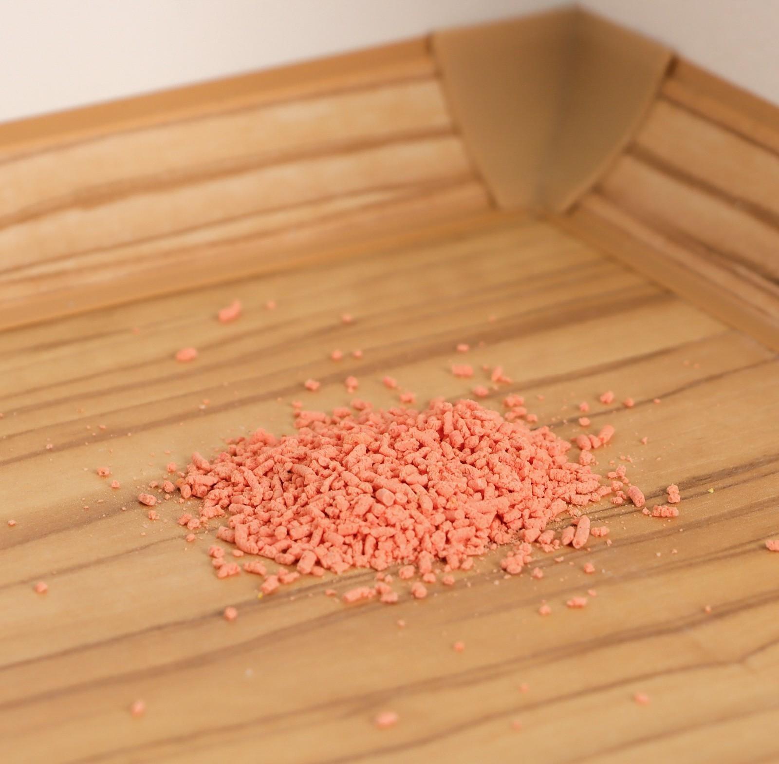 Средство от муравьев Zarit СПАЙДЕР 10 г