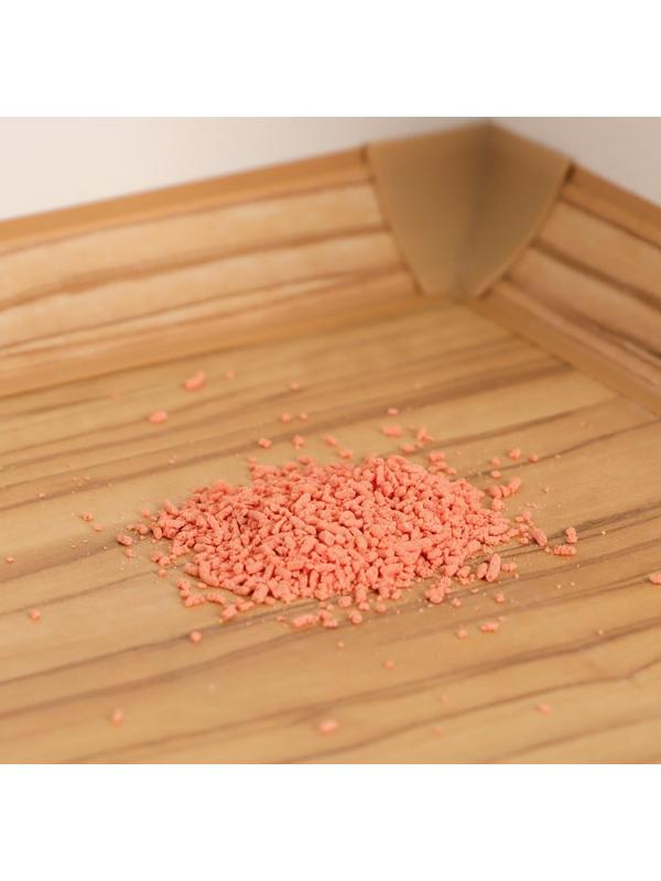 Средство от муравьев Zarit СПАЙДЕР 10 г