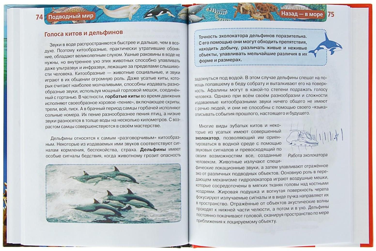 Детская энциклопедия «Подводный мир»