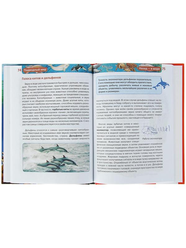 Детская энциклопедия «Подводный мир»