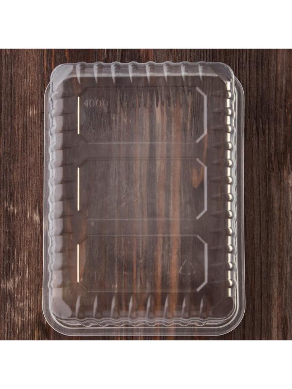 Набор одноразовых контейнеров, 1 л, 17,9×13,2×6,4 см, 50 шт, цвет прозрачный