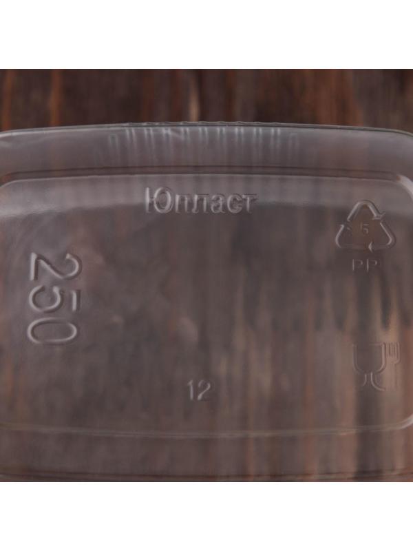 Набор одноразовых контейнеров с крышкой, 250 мл, 10,8×8,2×4,6 см, 10 шт, цвет прозрачный