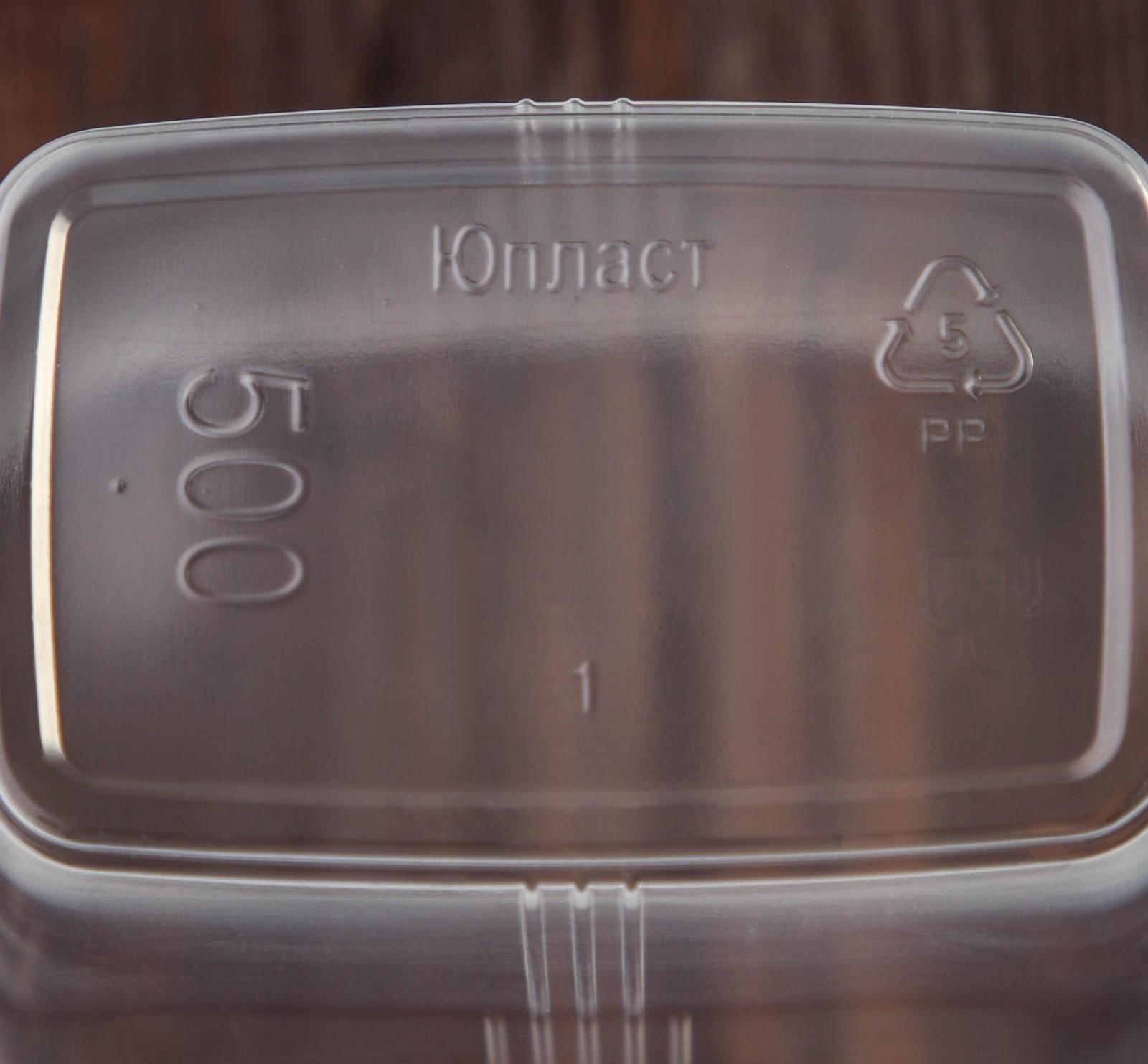 Набор одноразовых контейнеров с крышкой, 500 мл, 10,8×8,2×9,2 см, 10 шт, цвет прозрачный