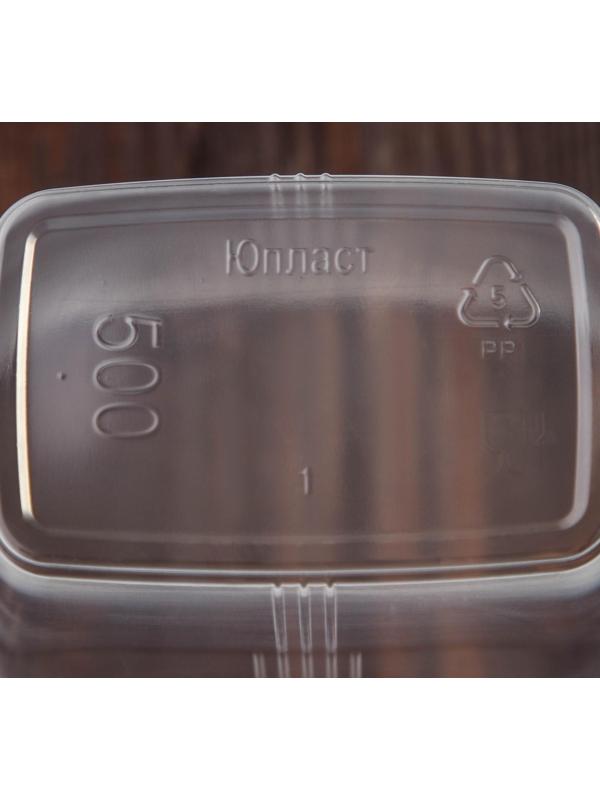 Набор одноразовых контейнеров с крышкой, 500 мл, 10,8×8,2×9,2 см, 10 шт, цвет прозрачный