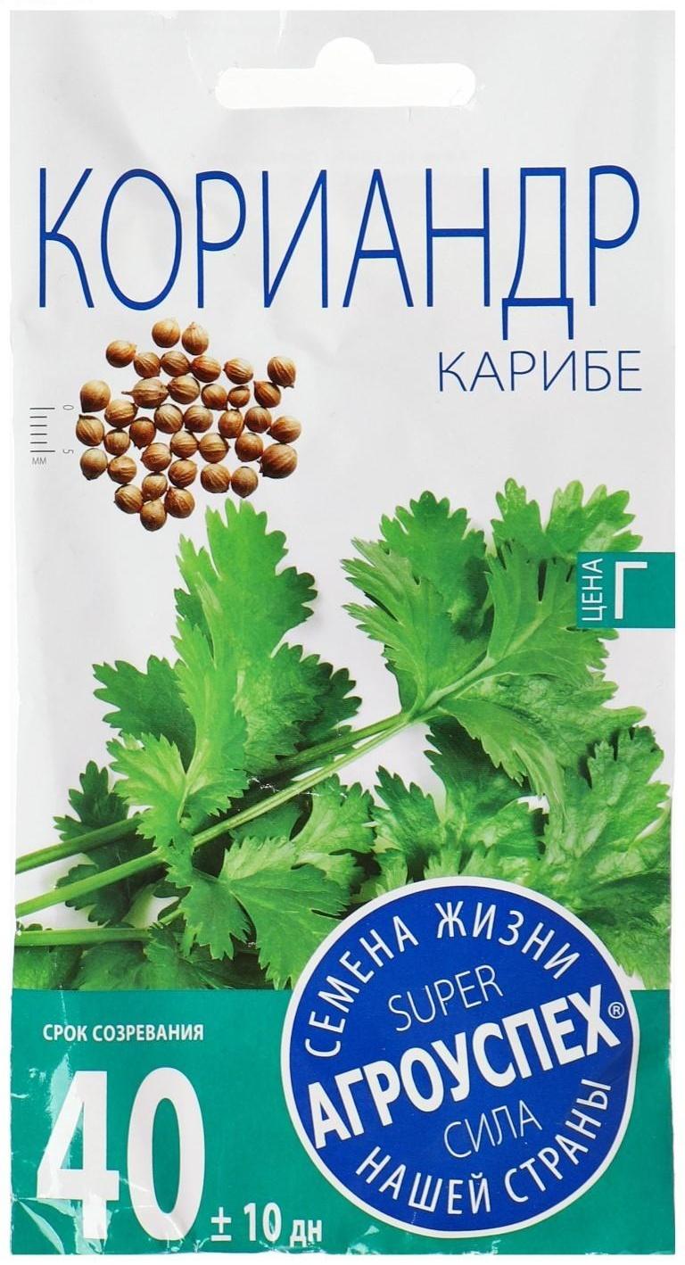 Семена Кориандр 