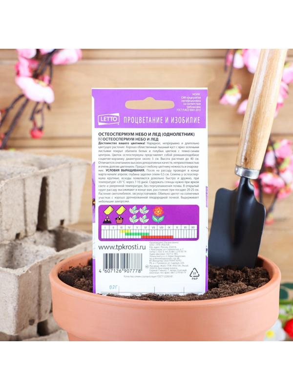 Семена цветов Остеоспермума 