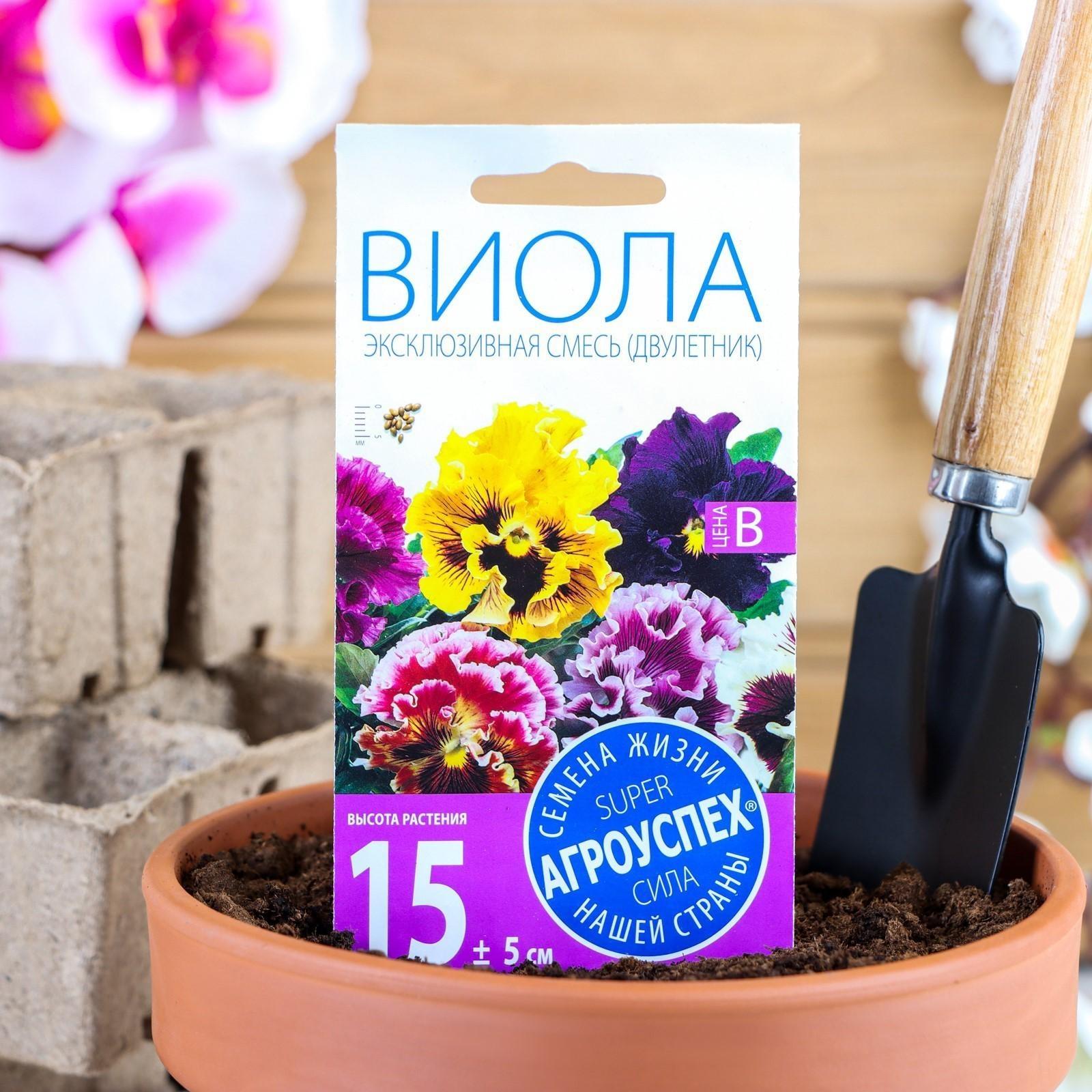 Семена цветов Виола 