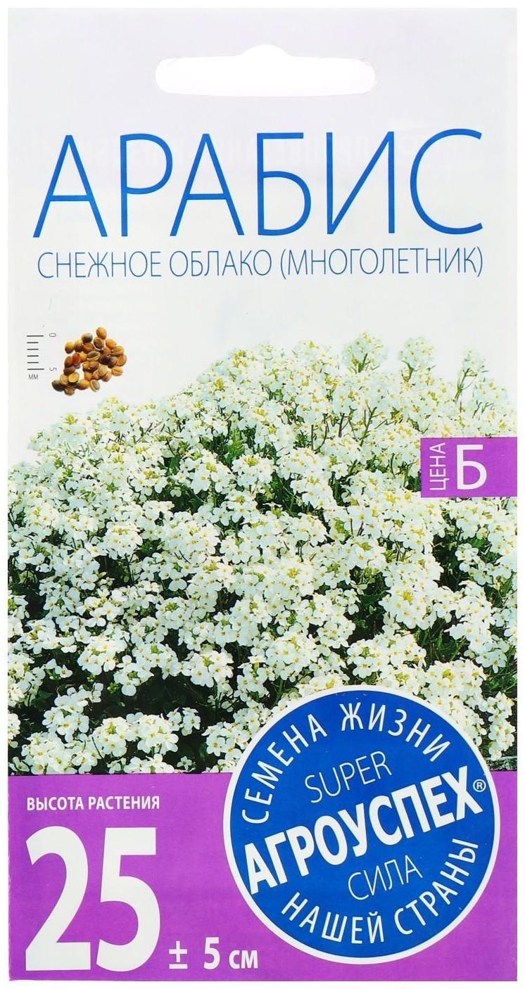 Семена цветов Арабис 