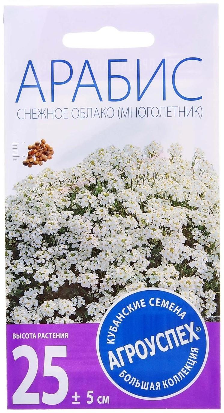 Семена цветов Арабис 