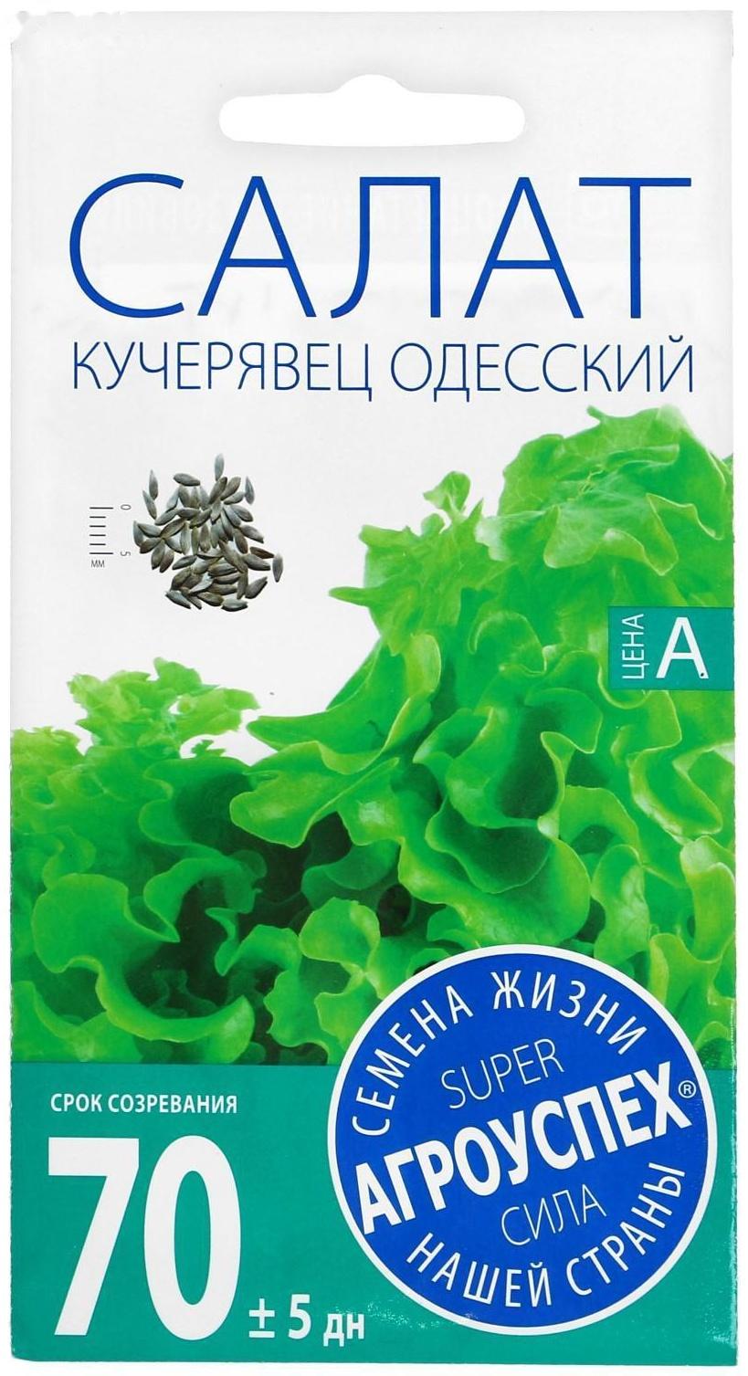 Семена Салат Кучерявец Одесский, полукочанный, поздний, 0,5г