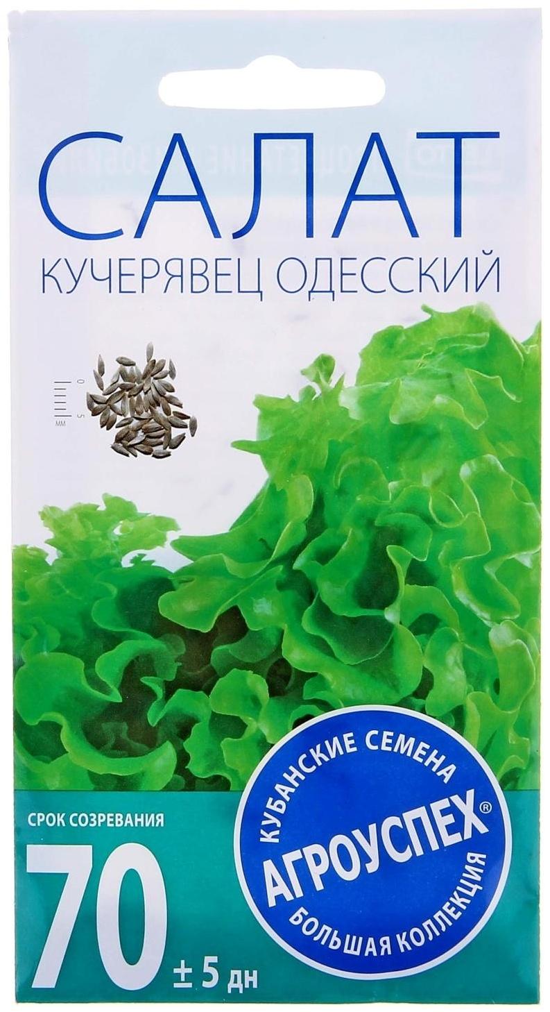 Семена Салат Кучерявец Одесский, полукочанный, поздний, 0,5г