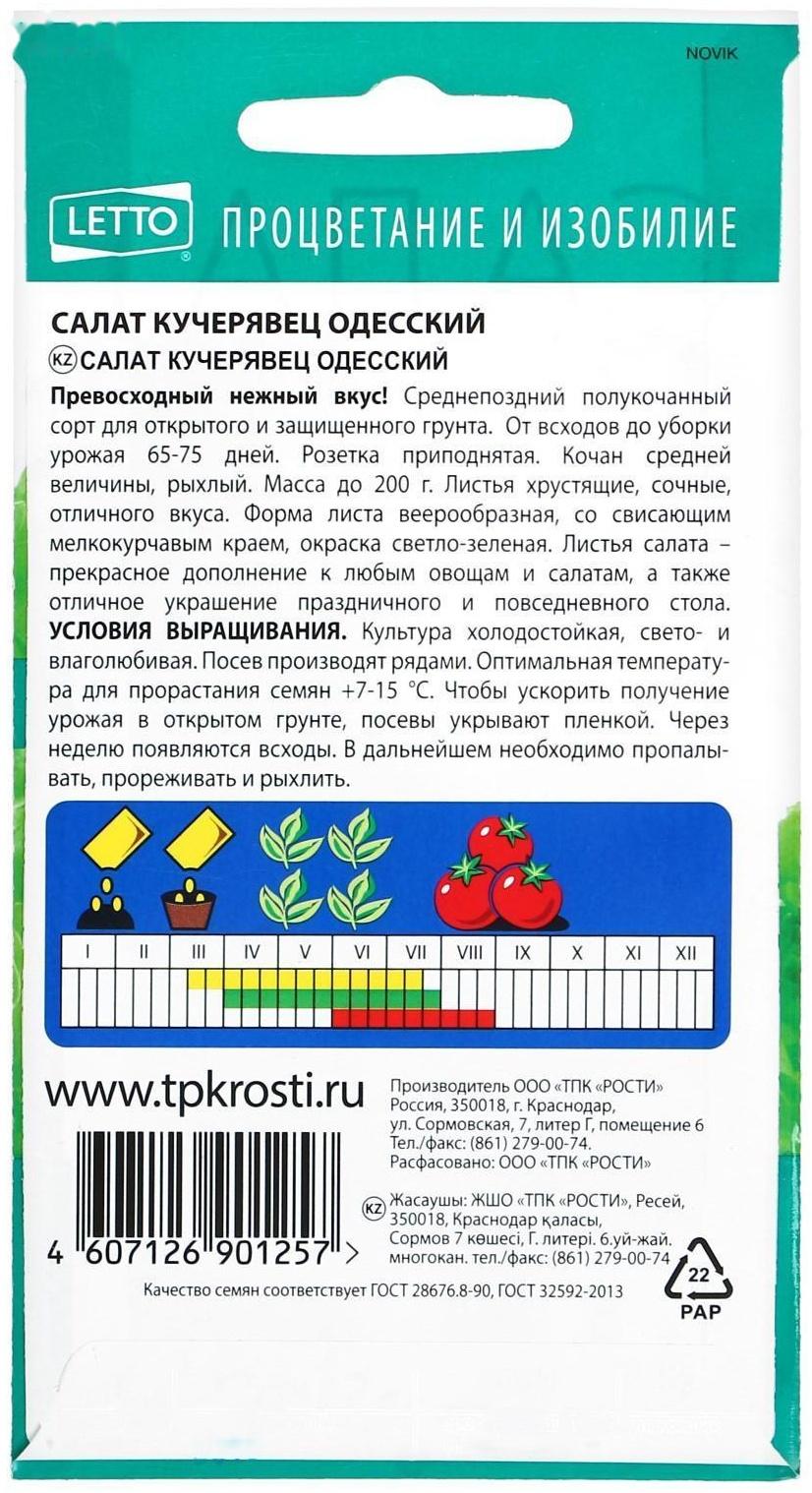 Семена Салат Кучерявец Одесский, полукочанный, поздний, 0,5г