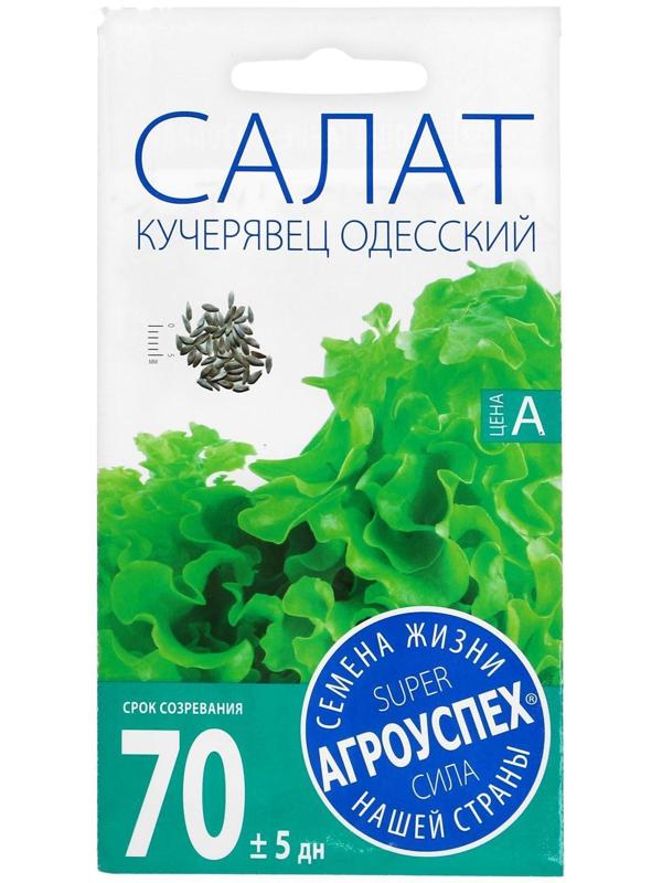 Семена Салат Кучерявец Одесский, полукочанный, поздний, 0,5г