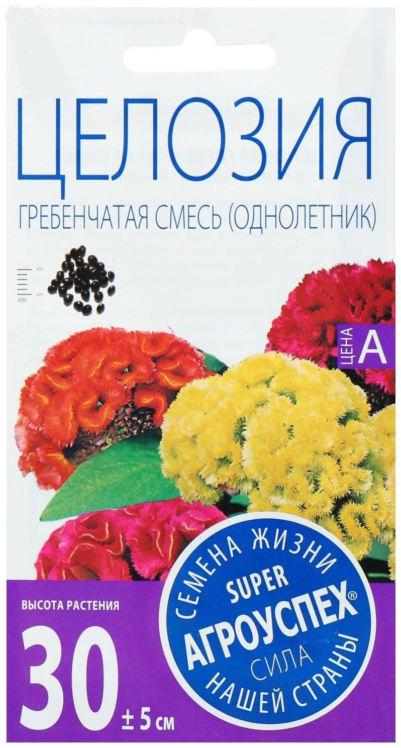 Семена цветов Целозия 