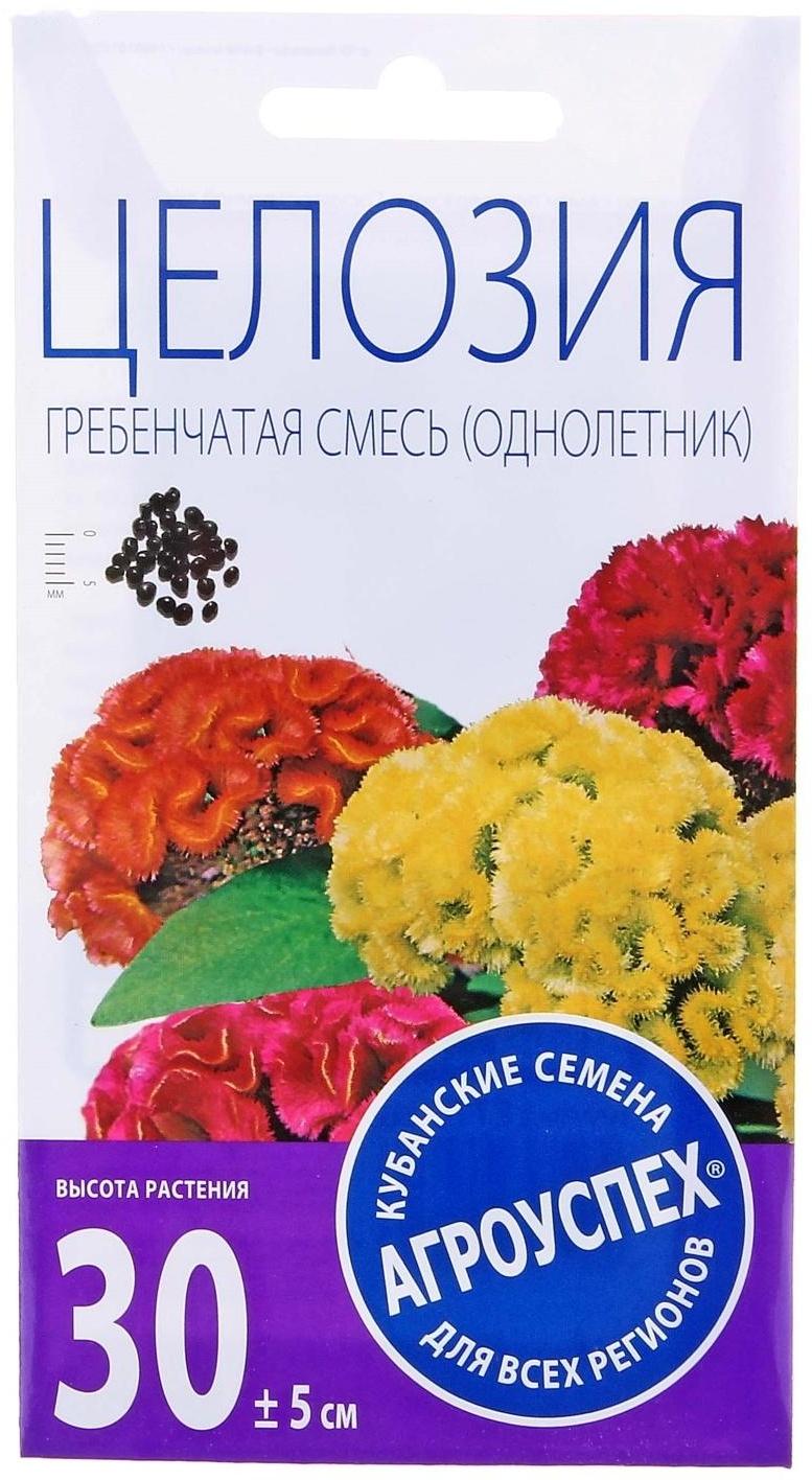 Семена цветов Целозия 