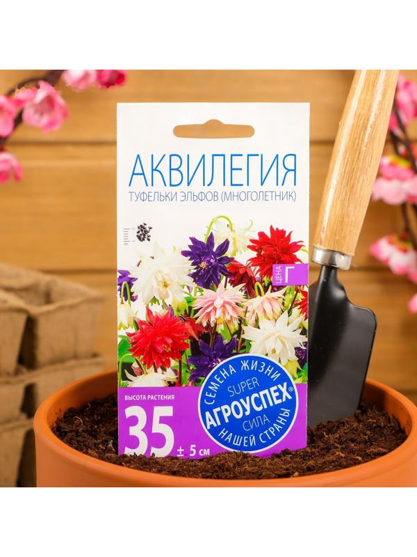 Семена цветов Аквилегия 