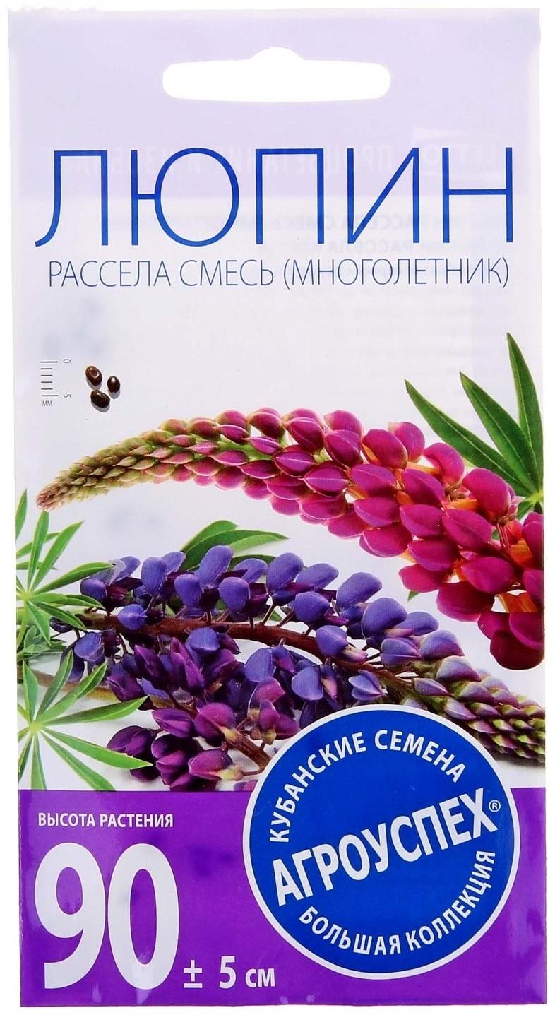 Семена цветов Люпин 