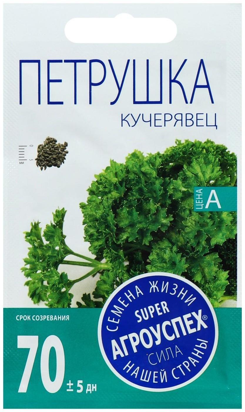 Семена Петрушка Кучерявец кудрявая, 2г