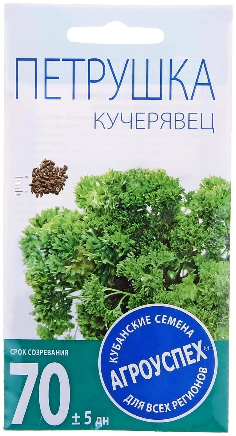 Семена Петрушка Кучерявец кудрявая, 2г