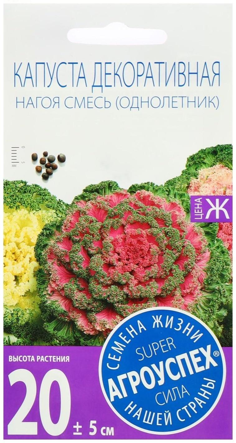Семена цветов Капуста декоративная Нагоя, О, 10 шт