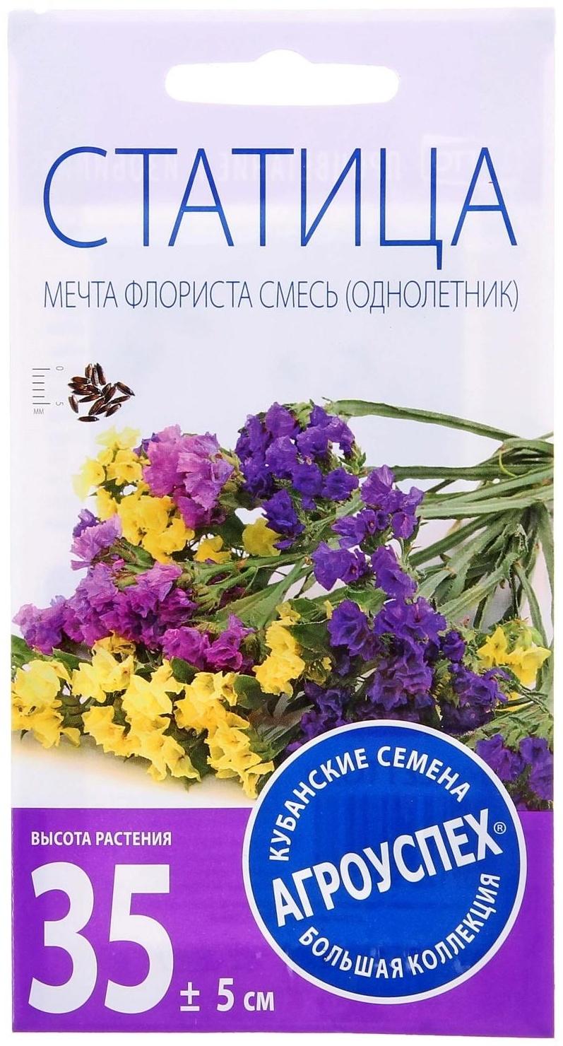 Семена цветов Статица Мечта флориста, смесь, О, 0,1 г