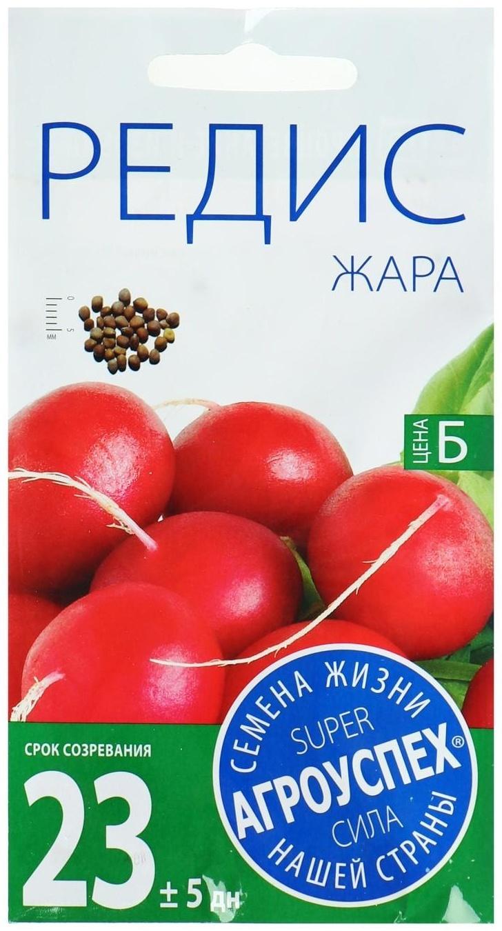 Семена Редис 