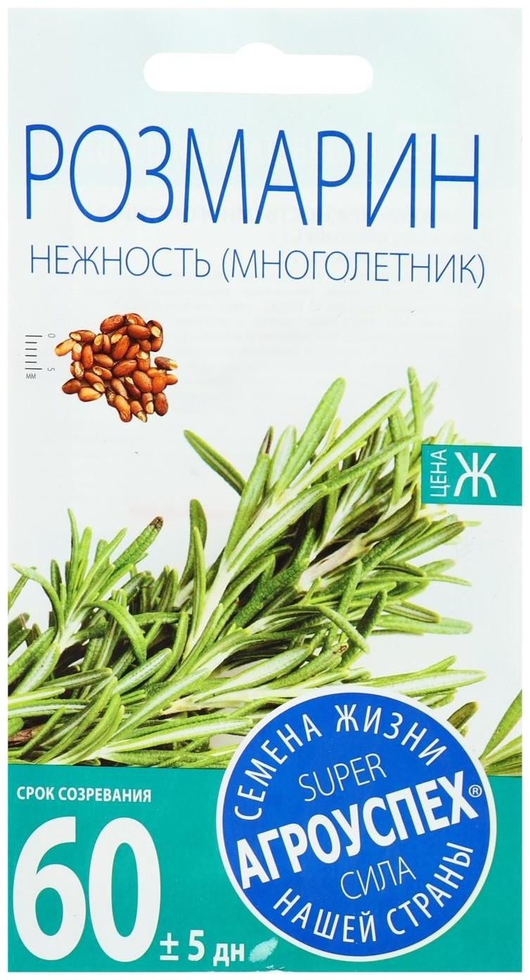 Семена Розмарин Нежность, 0,05г