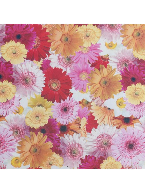 Клеенка столовая на тканевой основе 1,25х25 м 