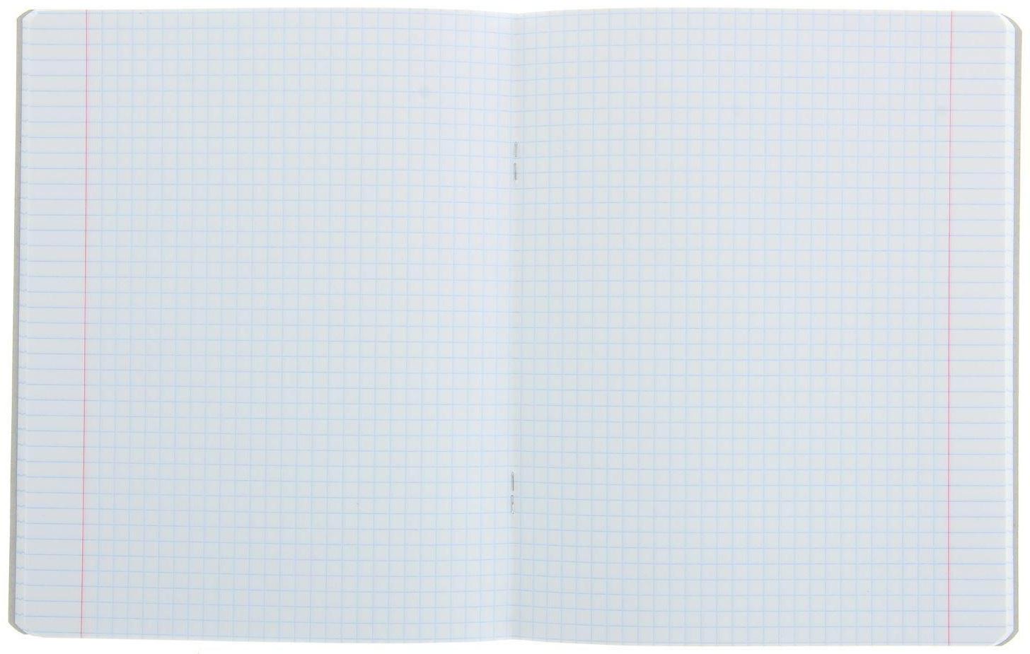 Тетрадь 48 листов клетка 