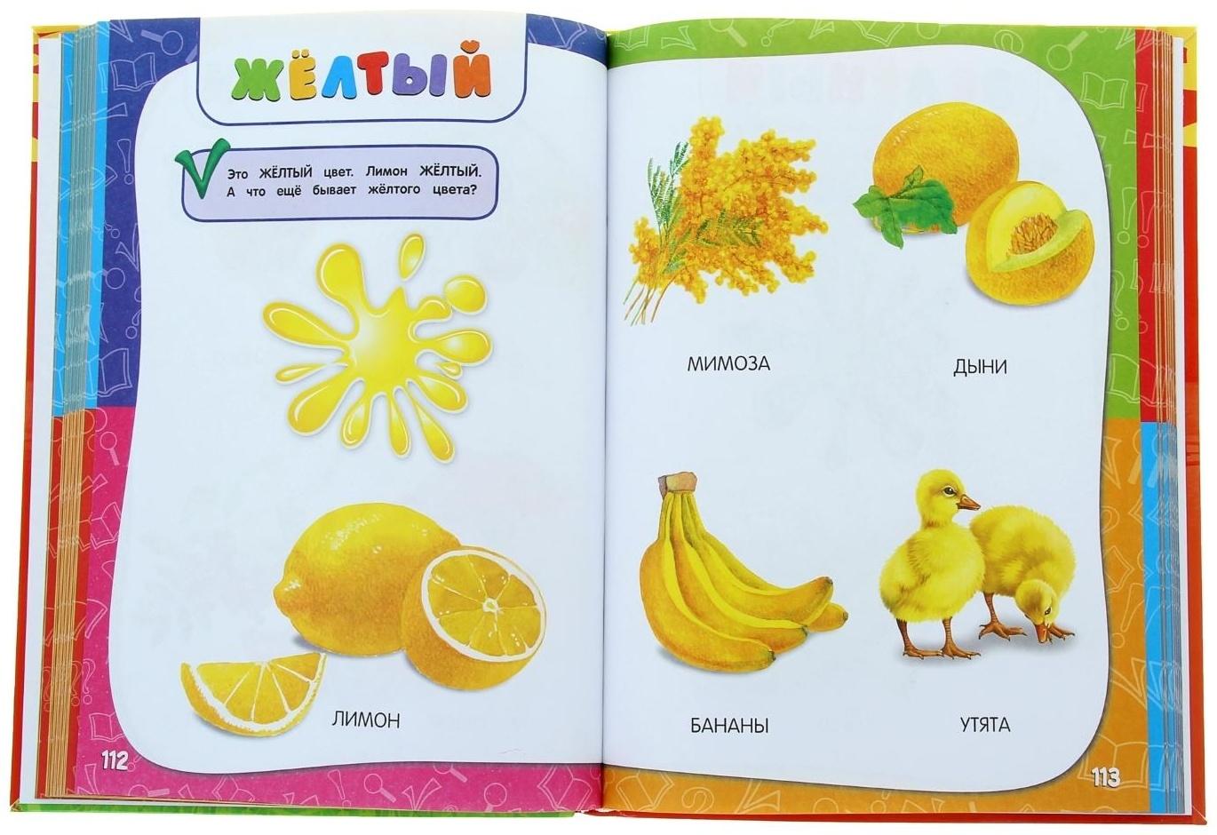 Годовой курс занятий: для детей 1-2 лет. Горбацевич А. Г., Далидович А., Мазаник Т. М., Цивилько Н. М.