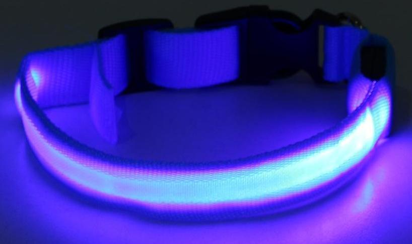Ошейник с подсветкой, M, 40-45 см, 3 режима свечения, голубой