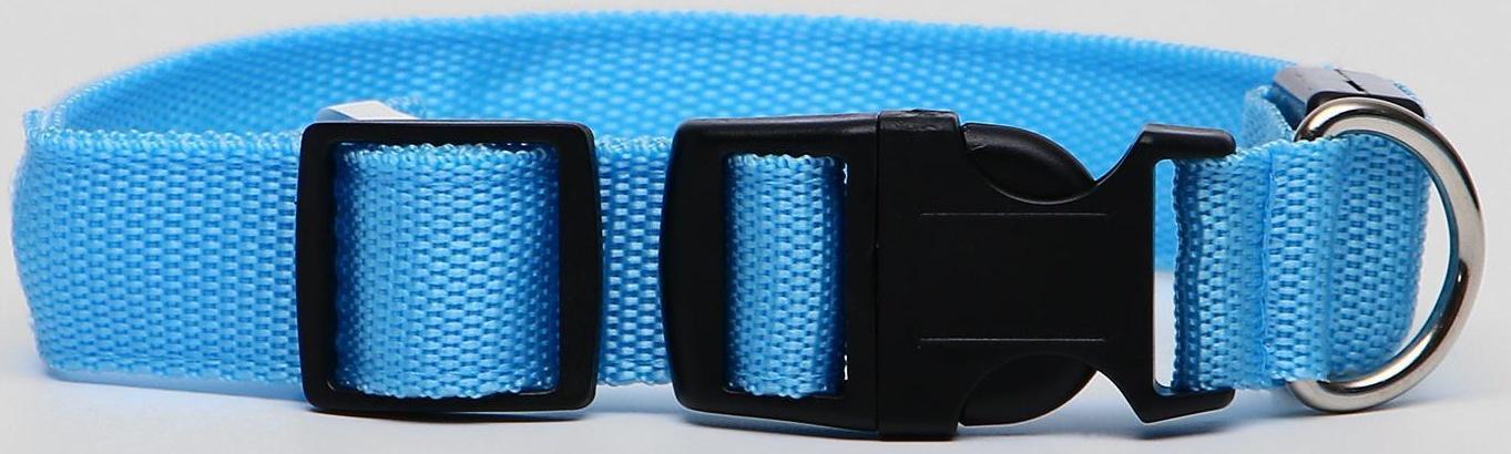 Ошейник с подсветкой, M, 40-45 см, 3 режима свечения, голубой
