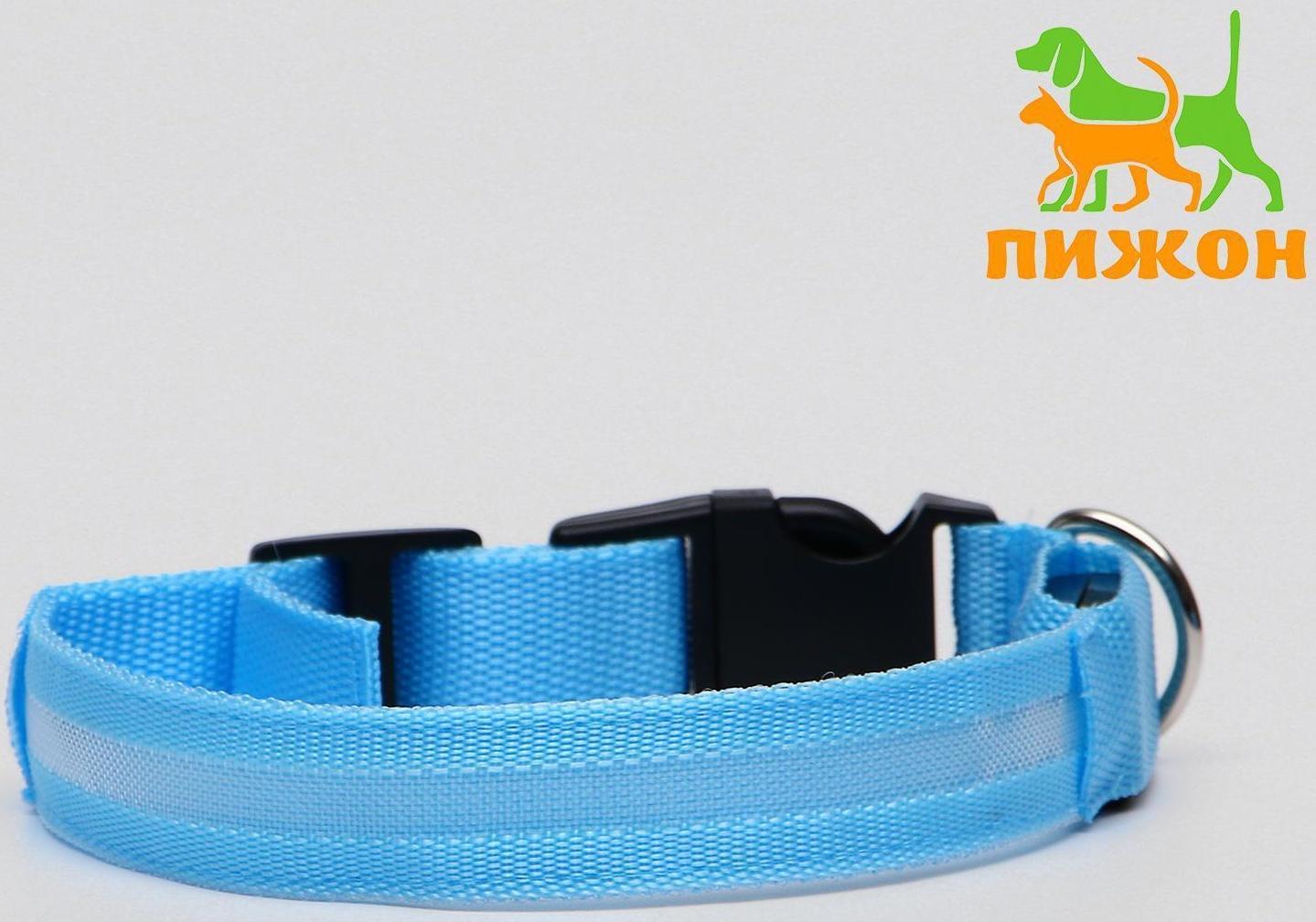 Ошейник с подсветкой, M, 40-45 см, 3 режима свечения, голубой