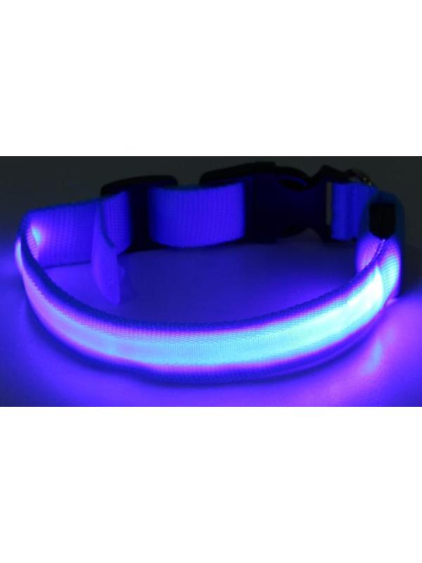 Ошейник с подсветкой, M, 40-45 см, 3 режима свечения, голубой