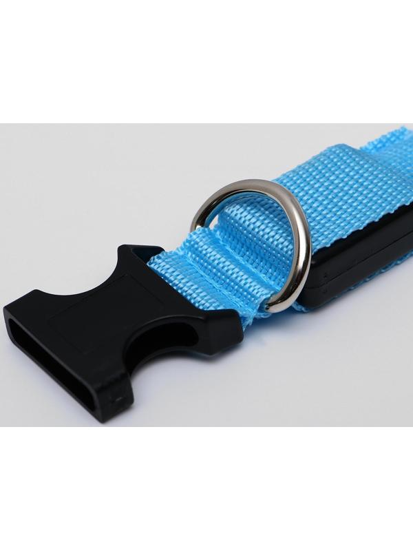 Ошейник с подсветкой, M, 40-45 см, 3 режима свечения, голубой