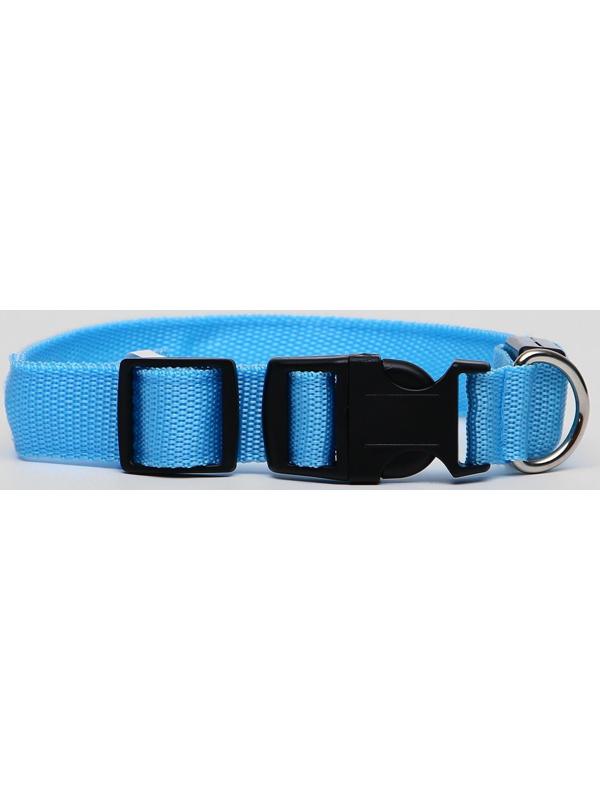 Ошейник с подсветкой, M, 40-45 см, 3 режима свечения, голубой