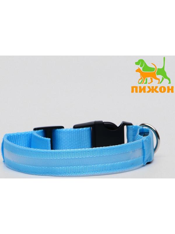 Ошейник с подсветкой, M, 40-45 см, 3 режима свечения, голубой