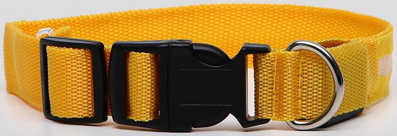 Ошейник с подсветкой, M, 40-45 см, 3 режима свечения, жёлтый