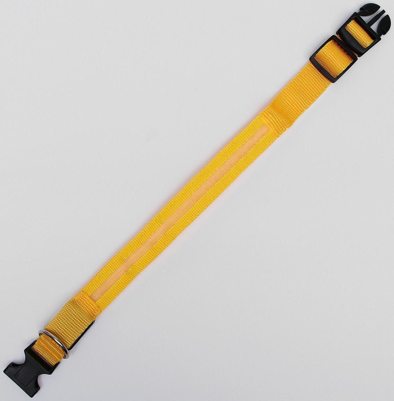 Ошейник с подсветкой, M, 40-45 см, 3 режима свечения, жёлтый