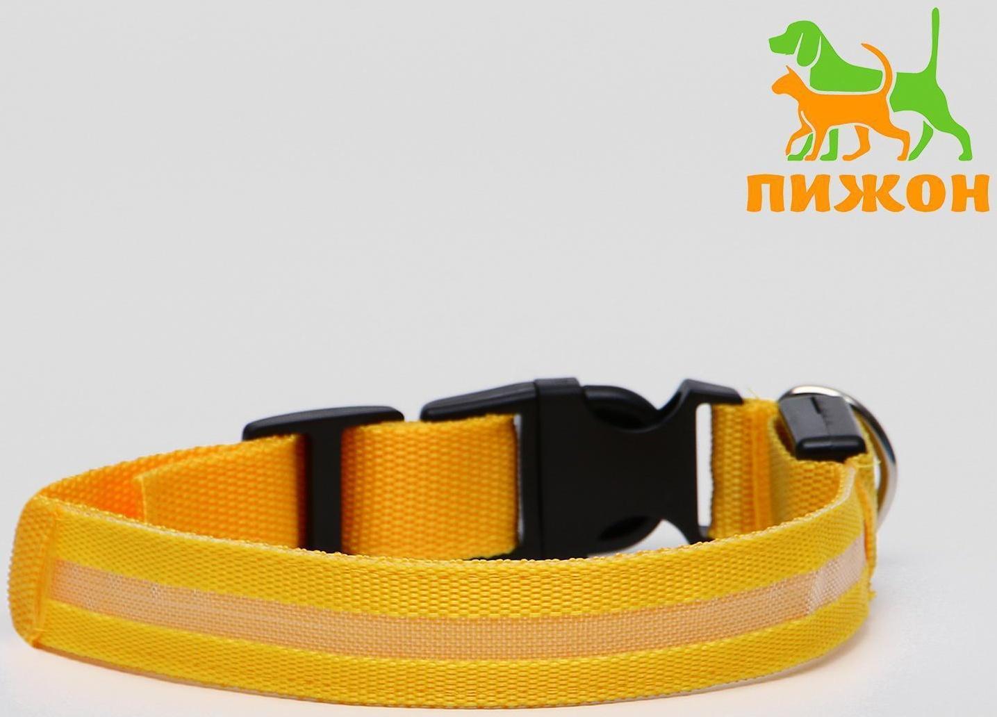 Ошейник с подсветкой, M, 40-45 см, 3 режима свечения, жёлтый