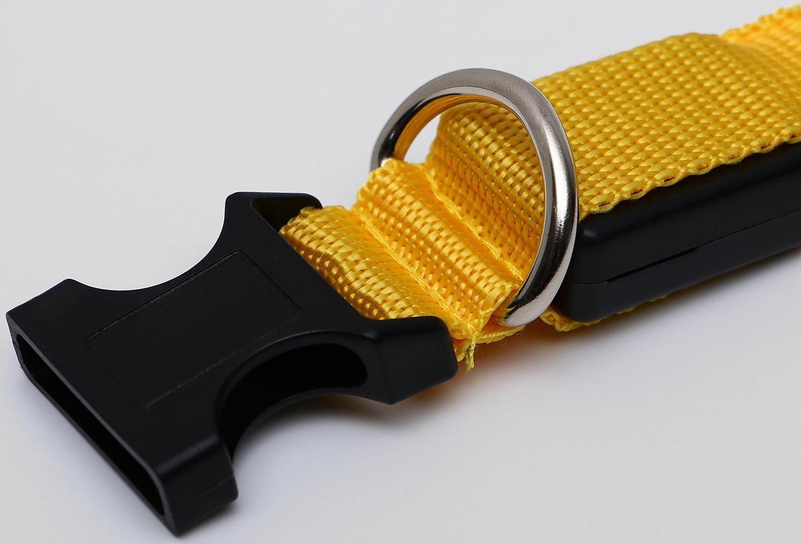 Ошейник с подсветкой, M, 40-45 см, 3 режима свечения, жёлтый