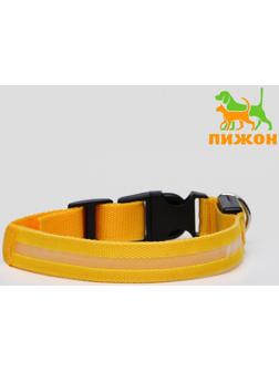 Ошейник с подсветкой, M, 40-45 см, 3 режима свечения, жёлтый