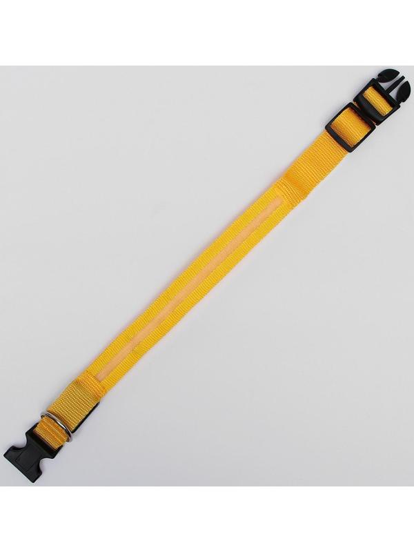 Ошейник с подсветкой, M, 40-45 см, 3 режима свечения, жёлтый