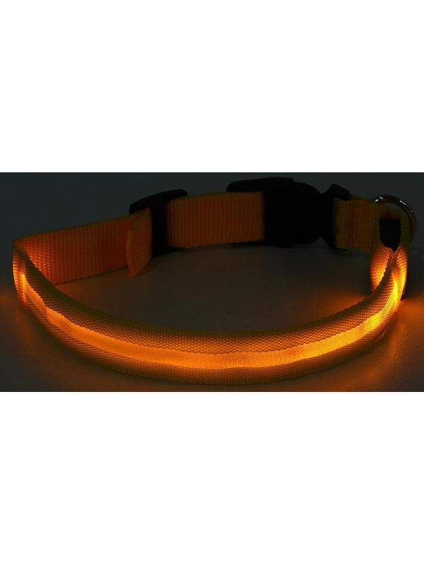 Ошейник с подсветкой, M, 40-45 см, 3 режима свечения, жёлтый