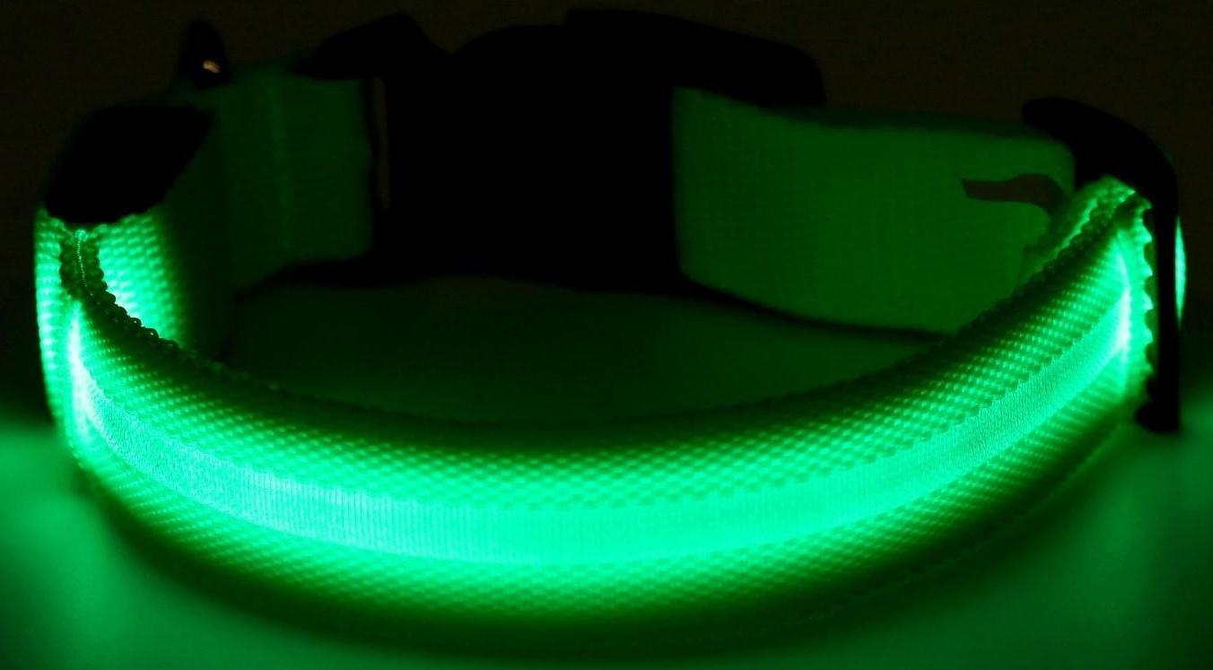 Ошейник с подсветкой, S, 38-40 см, 3 режима свечения, зелёный