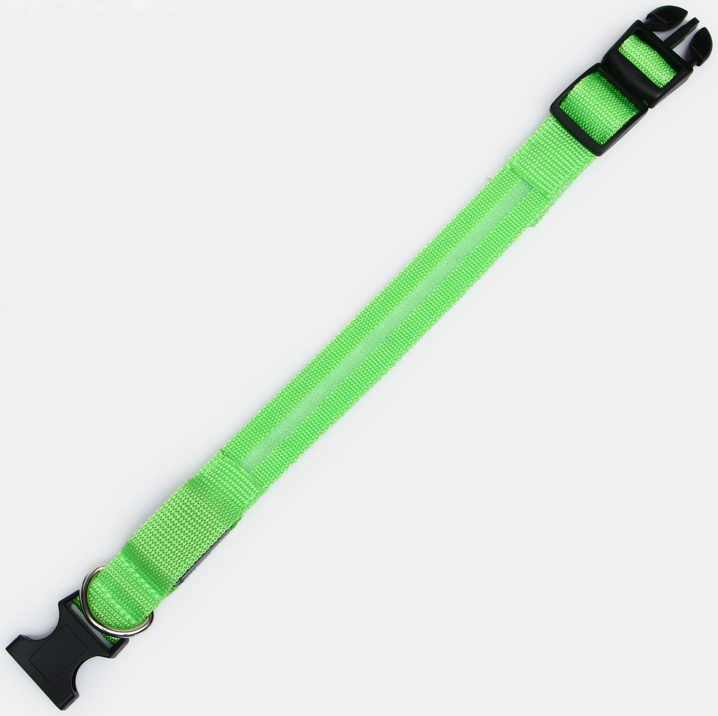 Ошейник с подсветкой, S, 38-40 см, 3 режима свечения, зелёный