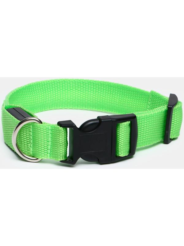Ошейник с подсветкой, S, 38-40 см, 3 режима свечения, зелёный