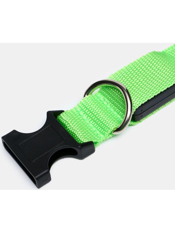 Ошейник с подсветкой, S, 38-40 см, 3 режима свечения, зелёный