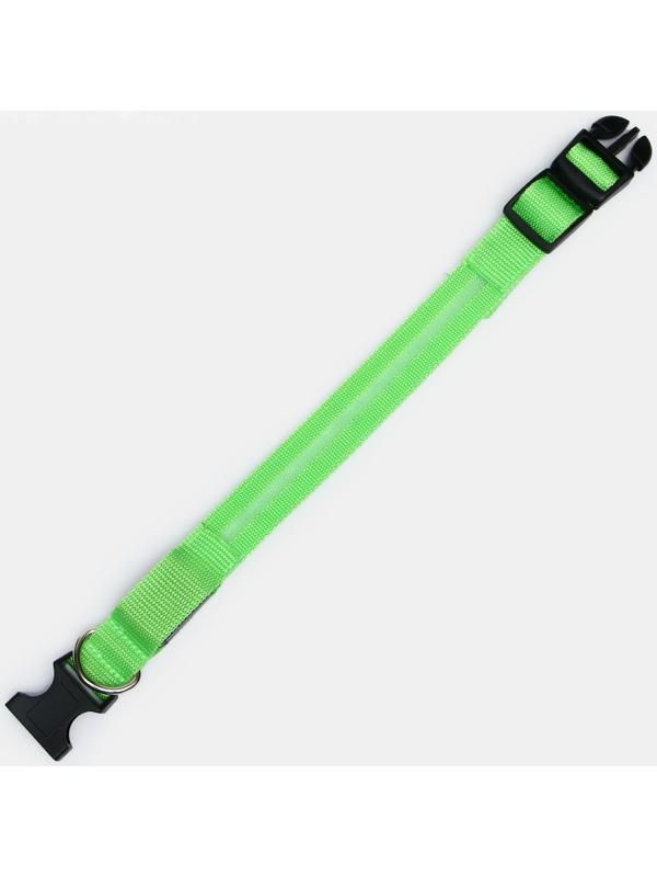 Ошейник с подсветкой, S, 38-40 см, 3 режима свечения, зелёный